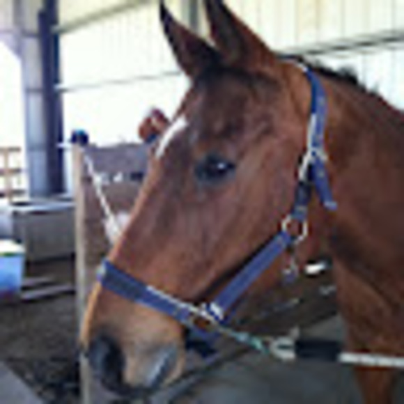 Meet your Posher, Emily - Picture 1 of 1